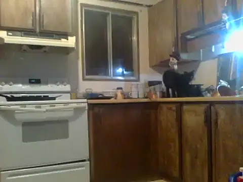 Ryoko Momoko online show from January 28, 2025, 7:22 am