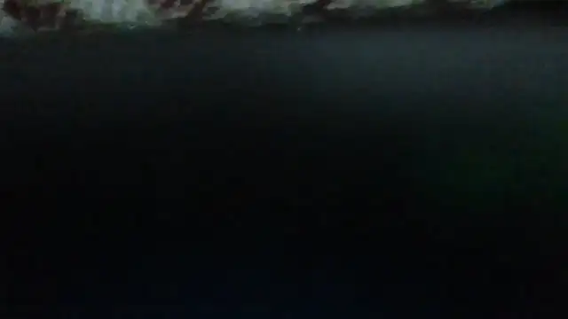 Snapshot of Leo_Big chatting on September 23, 2025, 11:23 pm Leo Big online show from September 23, 2025, 11:23 pm