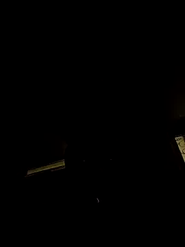 tropikboy online show from February 4, 2026, 2:17 am