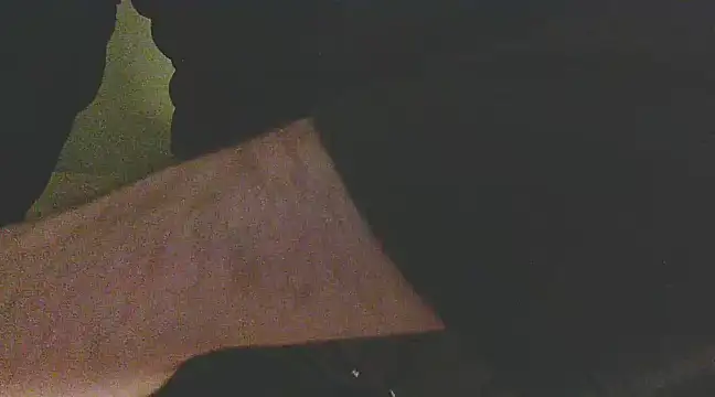 Palimy online show from December 14, 2024, 3:06 am