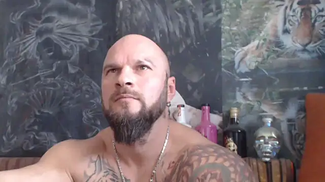 viking 30 online show from November 6, 2025, 8:29 am