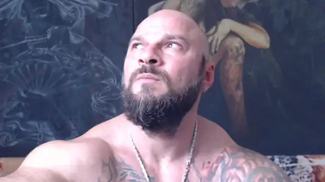 viking 30 online show from July 24, 2026, 12:01 pm
