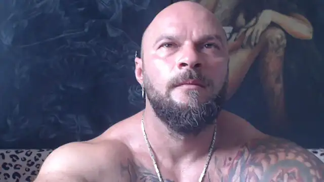 viking 30 online show from July 1, 2026, 6:14 am