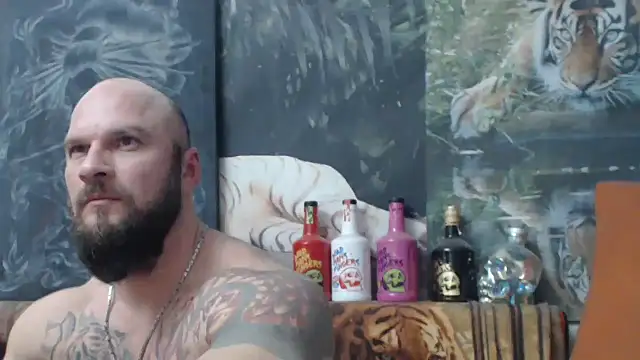 viking 30 online show from December 4, 2025, 7:24 pm