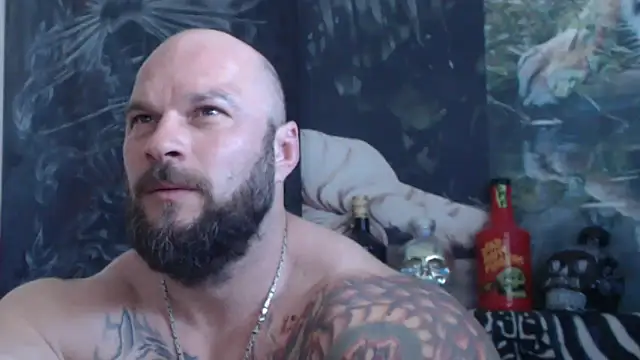 viking 30 online show from May 25, 2026, 6:34 am