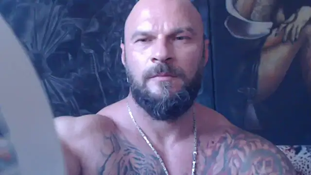 viking 30 online show from July 7, 2026, 5:49 pm