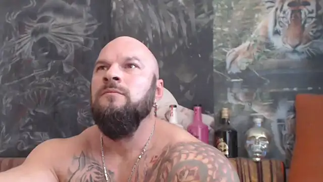 viking 30 online show from November 2, 2025, 10:31 am