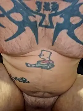 Snapshot of PhoenixDesire@xh chatting on February 11, 2026, 7:47 pm PhoenixDesirexh online show from February 11, 2026, 7:47 pm