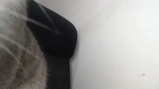 prettyangelsquirt online show from April 8, 2026, 11:28 pm