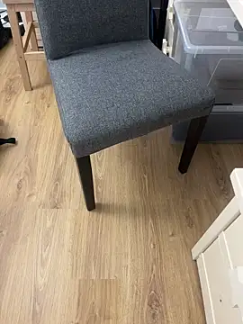 Mindnorthcam2 online show from February 22, 2026, 11:34 am