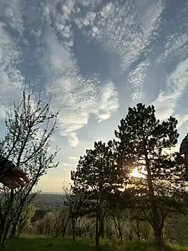 Alimela online show from April 15, 2026, 4:11 pm