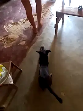 sexicaribe2 online show from October 16, 2025, 6:16 pm