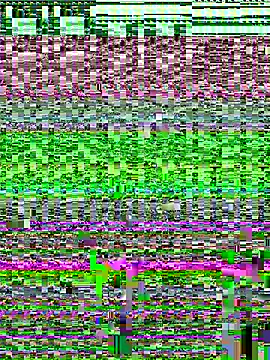 jessieamy online show from July 23, 2026, 11:55 pm