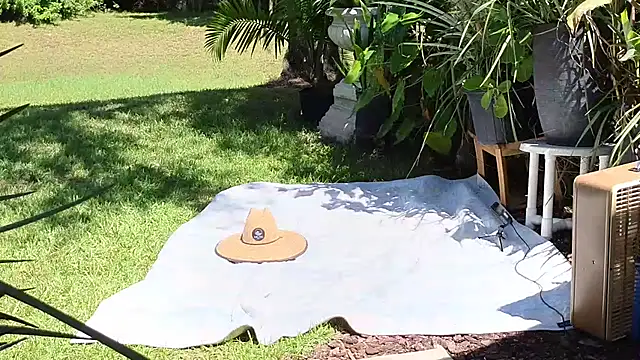 eliberator1777 online show from September 21, 2025, 5:07 pm