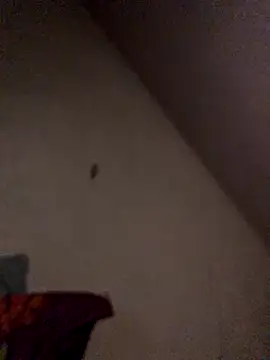 Snapshot of Chris-LE91 chatting on September 21, 2025, 1:11 am Chris-LE91 online show from September 21, 2025, 1:11 am