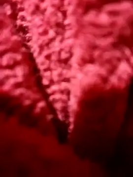 modelo38528061 online show from December 14, 2024, 1:49 pm