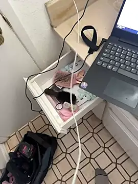 Exclusivenutxxx online show from November 10, 2025, 10:37 pm