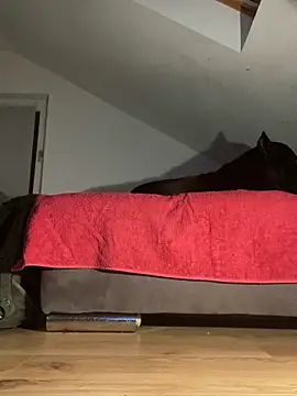 Snapshot of Vlad200472 chatting on December 14, 2024, 6:52 pm Vlad200472 online show from December 14, 2024, 6:52 pm