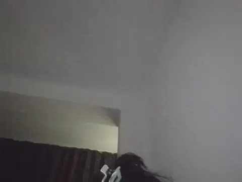 FallenDevil online show from November 30, 2025, 8:09 pm