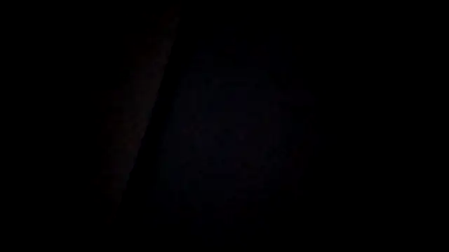 zaadslet2000 online show from July 11, 2026, 2:12 am