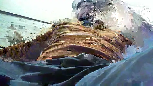 Snapshot of Billywax chatting on January 8, 2026, 9:15 am Billywax online show from January 8, 2026, 9:15 am