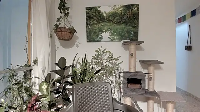 Snapshot of sexnherbs chatting on February 11, 2026, 12:43 am sexnherbs online show from February 11, 2026, 12:43 am