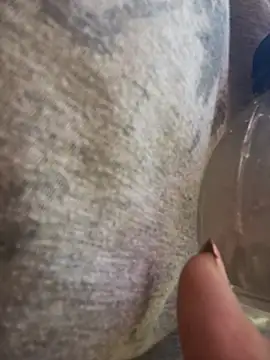 Alicbranca online show from March 19, 2026, 12:38 pm