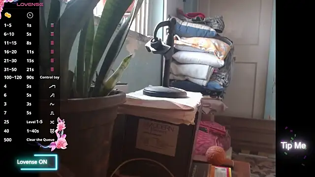 Snapshot of Star-Night chatting on February 1, 2026, 4:11 am Star-Night online show from February 1, 2026, 4:11 am