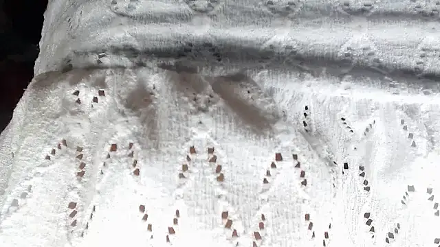 aleera starxx982 online show from January 11, 2026, 12:01 pm