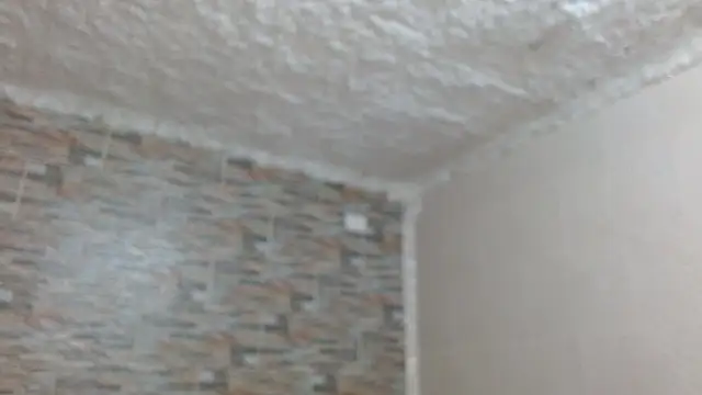 omar alurba online show from December 4, 2025, 5:12 pm