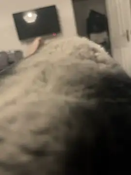 Snapshot of Furdale chatting on January 13, 2025, 4:08 pm Furdale online show from January 13, 2025, 4:08 pm