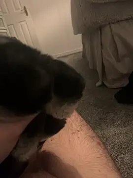 Snapshot of Furdale chatting on January 6, 2025, 5:06 pm Furdale online show from January 6, 2025, 5:06 pm