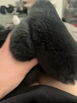 Snapshot of Furdale chatting on February 28, 2025, 11:36 am Furdale online show from February 28, 2025, 11:36 am