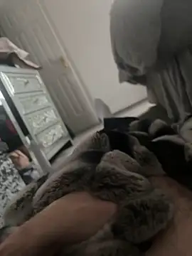 Snapshot of Furdale chatting on January 7, 2025, 2:08 pm Furdale online show from January 7, 2025, 2:08 pm