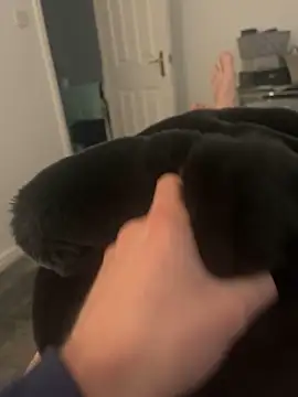 Snapshot of Furdale chatting on March 5, 2025, 3:29 pm Furdale online show from March 5, 2025, 3:29 pm