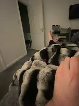 Snapshot of Furdale chatting on February 5, 2025, 7:20 pm Furdale online show from February 5, 2025, 7:20 pm