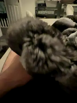 Furdale online show from November 24, 2025, 4:40 pm