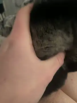 Snapshot of Furdale chatting on February 24, 2025, 1:21 pm Furdale online show from February 24, 2025, 1:21 pm