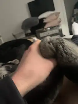 Snapshot of Furdale chatting on February 16, 2025, 2:32 pm Furdale online show from February 16, 2025, 2:32 pm