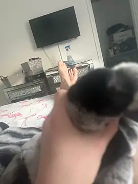 Snapshot of Furdale chatting on January 30, 2025, 3:19 pm Furdale online show from January 30, 2025, 3:19 pm