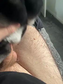 Snapshot of Furdale chatting on January 16, 2025, 2:08 pm Furdale online show from January 16, 2025, 2:08 pm