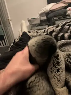 Snapshot of Furdale chatting on February 11, 2025, 6:11 pm Furdale online show from February 11, 2025, 6:11 pm