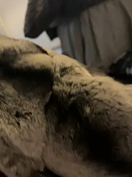 Snapshot of Furdale chatting on January 1, 2025, 12:44 pm Furdale online show from January 1, 2025, 12:44 pm