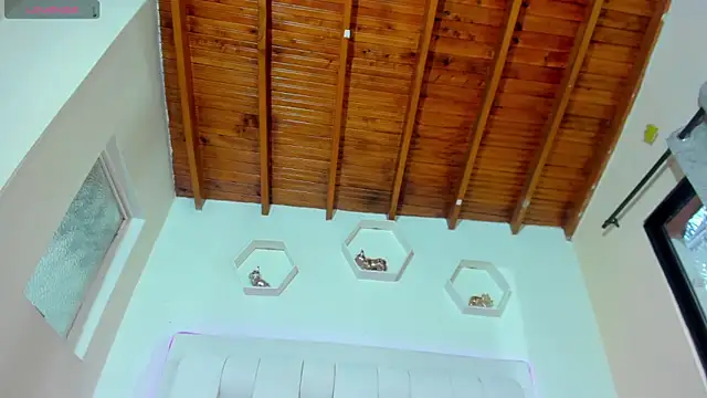 shanakendall online show from March 18, 2026, 2:41 pm