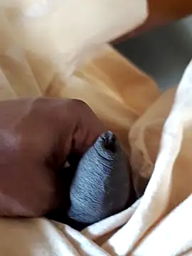 malluflash online show from February 7, 2026, 6:54 am