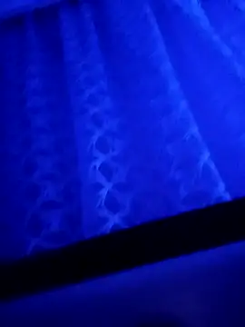 LeilaSaint online show from September 19, 2025, 4:44 pm