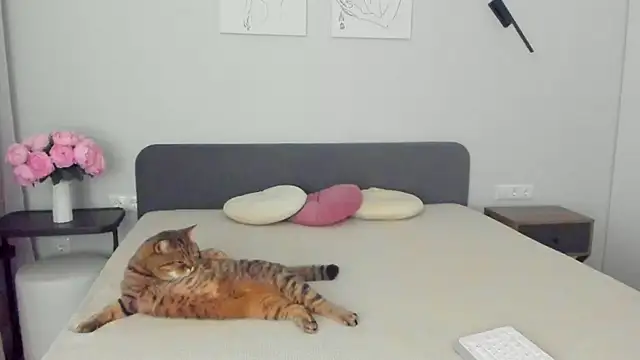 miss emily  online show from April 10, 2026, 11:23 pm