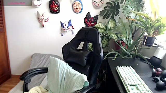 cat salo online show from November 22, 2025, 3:44 pm