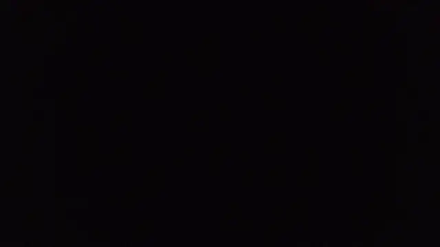 BuckWessle online show from October 31, 2025, 11:51 am