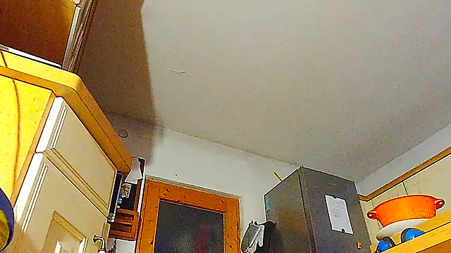 Sexspielzeug-1 online show from March 15, 2025, 1:30 am